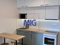 Pronájem bytu 1+kk, Brno, Bratislavská, 31 m2