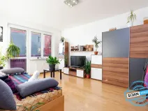 Pronájem bytu 2+1, Vítkov, Budišovská, 48 m2