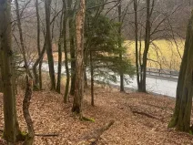 Prodej lesa, Huslenky, 16650 m2