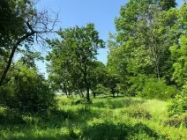 Prodej zahrady, Dalovice, 5231 m2