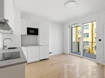 Pronájem bytu 1+kk, Praha - Vršovice, Krymská, 24 m2