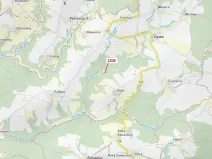 Dražba lesa, Čestín, 795 m2