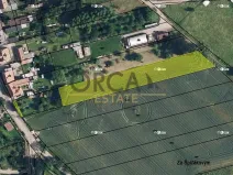 Prodej pole, Krumsín, 2944 m2