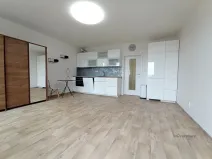 Pronájem bytu 1+kk, Plzeň - Jižní Předměstí, Rybářská, 49 m2