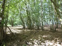 Prodej pole, Malé Březno, 14517 m2