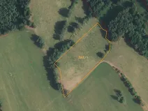 Dražba louky, Bernartice, 11266 m2