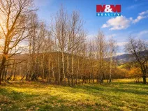 Prodej louky, Mikulůvka, 5876 m2