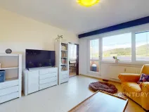 Prodej bytu 3+1, Odry, Potoční, 69 m2