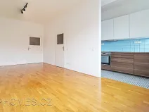 Pronájem bytu 2+kk, Praha - Nusle, U čtyř domů, 60 m2