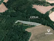 Prodej podílu lesa, Dolní Kounice, 1559 m2