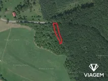 Prodej podílu lesa, Bačalky, 626 m2