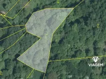Prodej lesa, Nová Dědina, 1811 m2