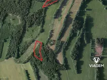 Prodej podílu lesa, Roztoky u Semil, 6000 m2