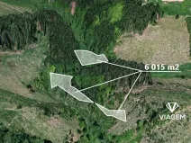 Prodej lesa, Zbizuby, 6015 m2