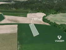 Prodej pole, Petroupim, 7931 m2