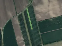 Prodej pole, Lipov, 10196 m2