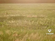 Prodej pole, Blatno, 7300 m2