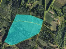 Prodej lesa, Krásná, 91919 m2