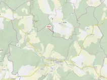 Dražba lesa, Krásné, 6169 m2