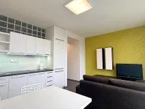 Pronájem bytu 2+kk, Brno, Vinařská, 55 m2
