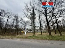 Prodej lesa, Býšť, 3807 m2