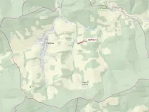 Dražba lesa, Zděchov, 1022 m2