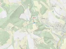 Dražba lesa, Český Dub, 2709 m2