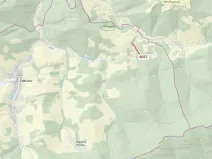 Dražba lesa, Zděchov, 435 m2