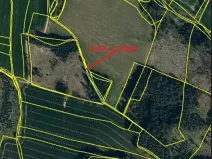 Prodej lesa, Červená Řečice, 326 m2