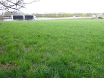 Prodej komerčního pozemku, Stránecká Zhoř - Kochánov, 2295 m2