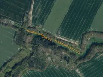 Dražba louky, Tachov, 3829 m2