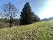 Prodej pozemku, Hluboká nad Vltavou - Kostelec, 3163 m2