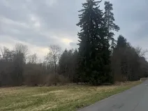 Prodej pole, Hlavňovice, 11738 m2