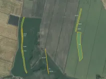 Prodej pole, Žabovřesky nad Ohří, 56857 m2