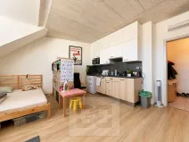 Pronájem bytu 1+kk, Brno, 38 m2