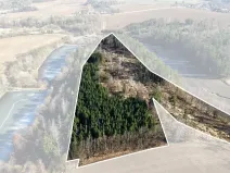 Prodej lesa, Chotoviny, 35440 m2