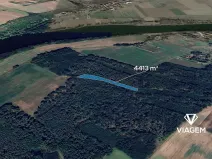 Prodej lesa, Dobříň, 4413 m2