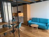 Pronájem bytu 2+kk, Brno, Kamenná, 54 m2