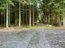 Prodej lesa, Zlín, Modřínová, 179312 m2