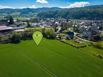 Prodej pozemku pro bydlení, Ruda nad Moravou, 5000 m2