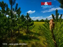 Prodej pozemku, Pňov-Předhradí, 151762 m2