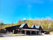 Prodej komerční nemovitosti, Valašské Klobouky, 467 m2