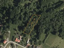 Dražba lesa, Dětmarovice, 2629 m2
