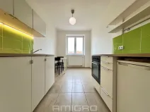 Prodej bytu 1+1, Brno, Merhautova, 48 m2