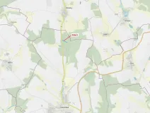 Dražba lesa, Česká Bělá, 5552 m2