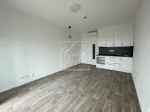 Pronájem bytu 1+kk, Praha - Hlubočepy, K Barrandovu, 25 m2