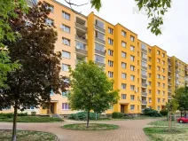 Pronájem bytu 1+1, Žatec, Javorová, 36 m2