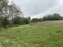 Dražba louky, Kostelec nad Černými lesy, 15764 m2