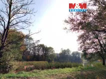 Prodej louky, Petrovice - Obděnice, 7011 m2