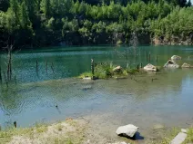 Prodej rybníku, Lipová, 80000 m2